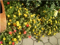 980e843d-Picture 6310.jpg